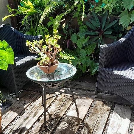 Bed and Breakfast Ambiance Sud Sauvage Saint-Joseph Exterior foto